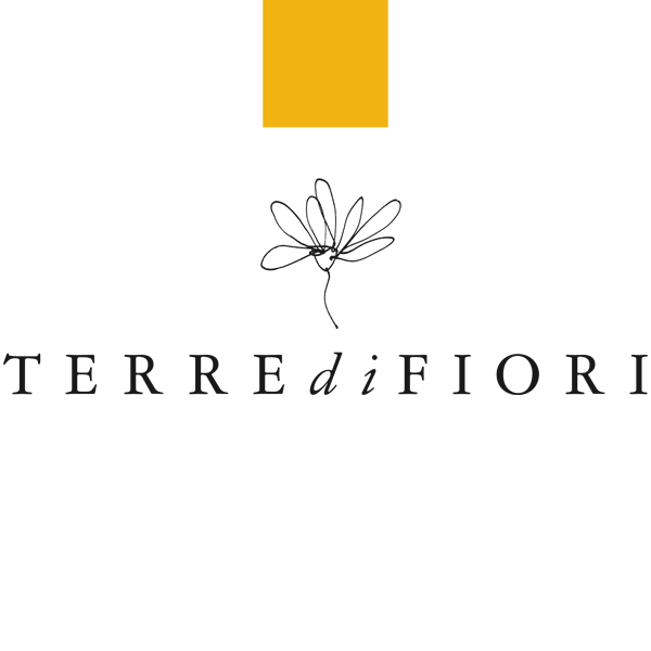 terredifiroitestata